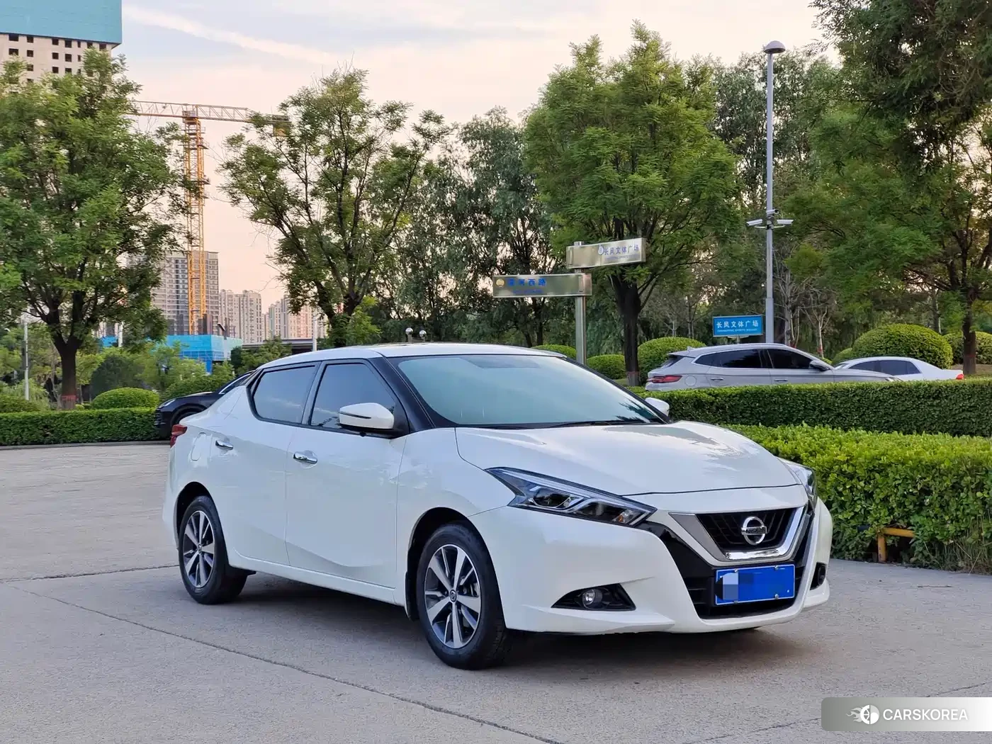 Nissan Lannia id 4601018 из Китая 12