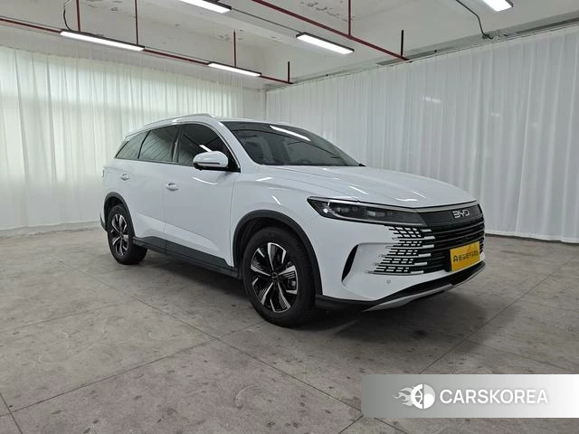 BYD Sea Lion 05DM id 3969098 из Китая 18