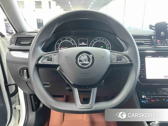 Skoda Speed pie id 4380579 из Китая 17