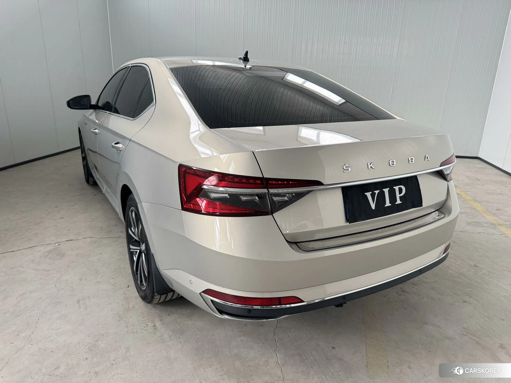 Skoda Speed pie id 4426497 из Китая 21