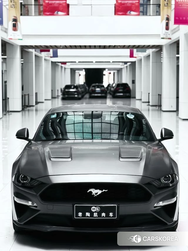Ford Mustang id 4387327 из Китая 8