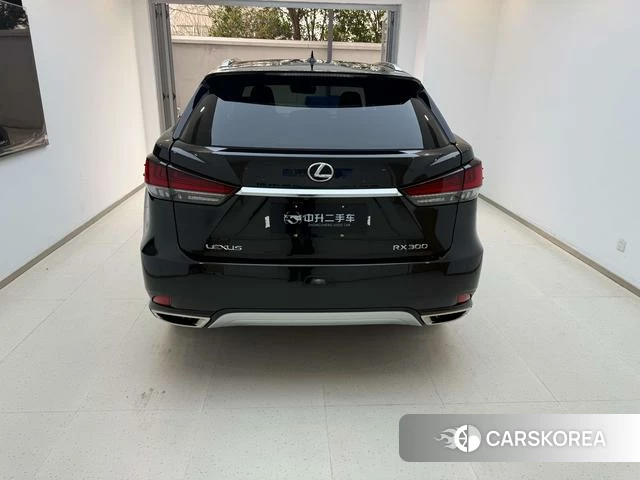 Lexus RX id 4259791 из Китая 21