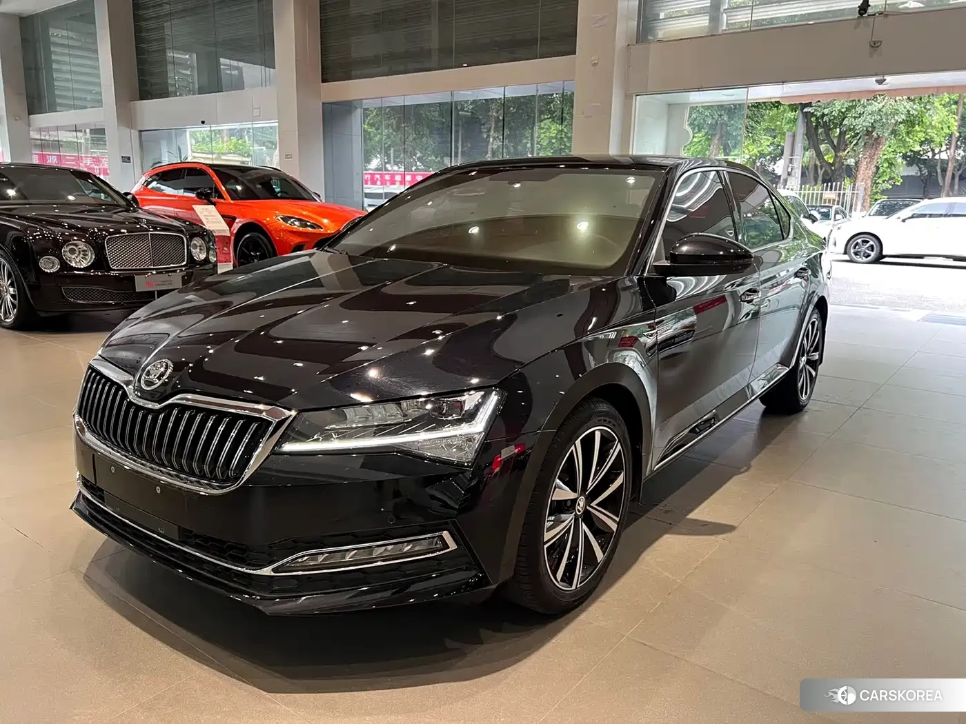 Skoda Speed pie id 4515546 из Китая 18