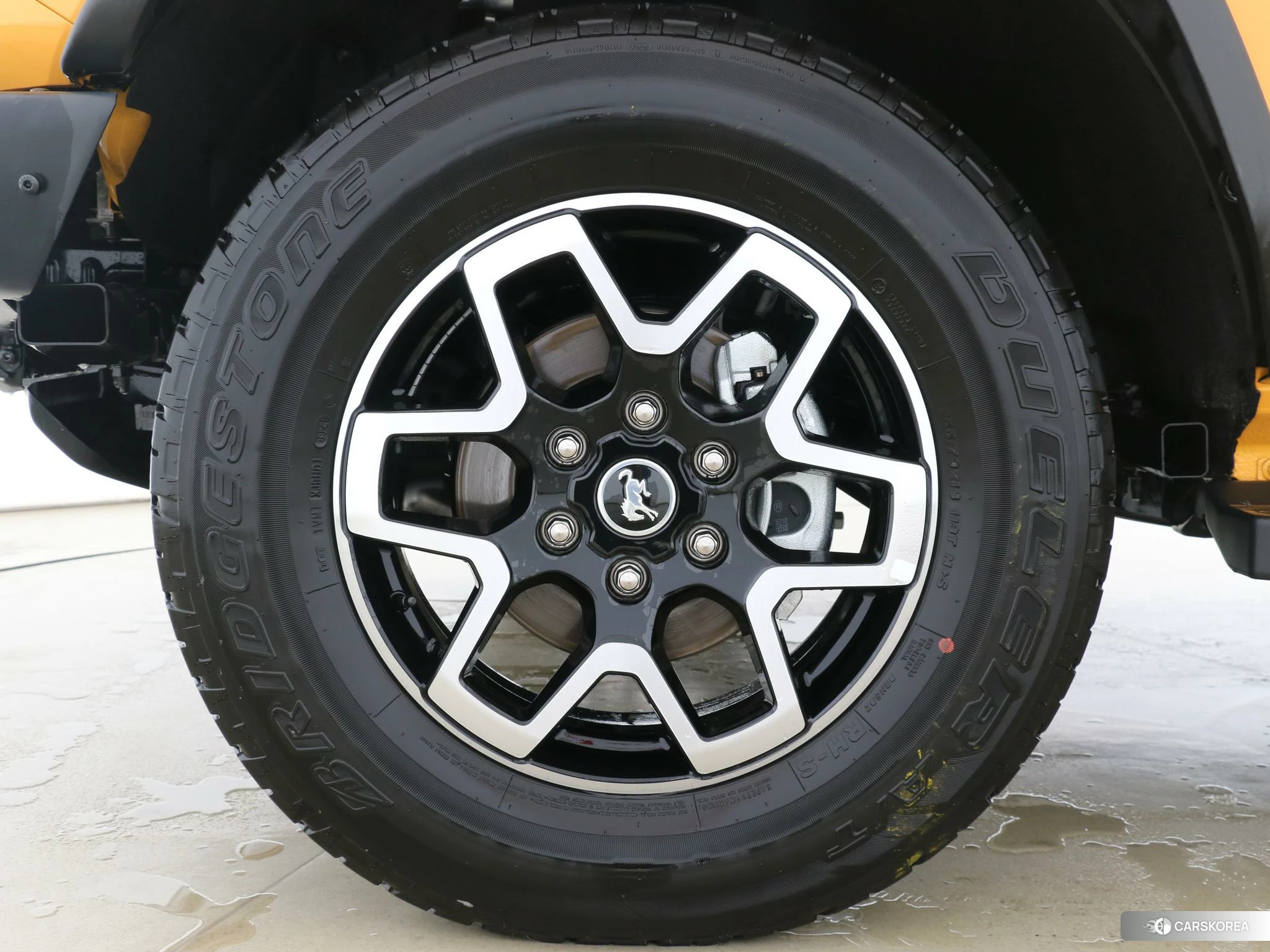 Ford Lie Ma id 4505008 из Китая 13