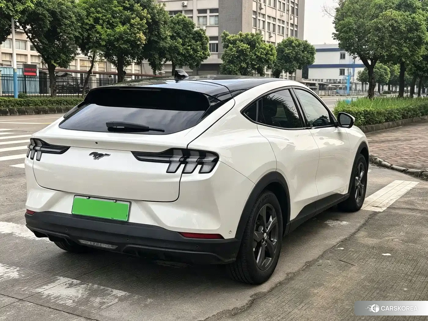 Ford Electric horse id 4686014 из Китая 16