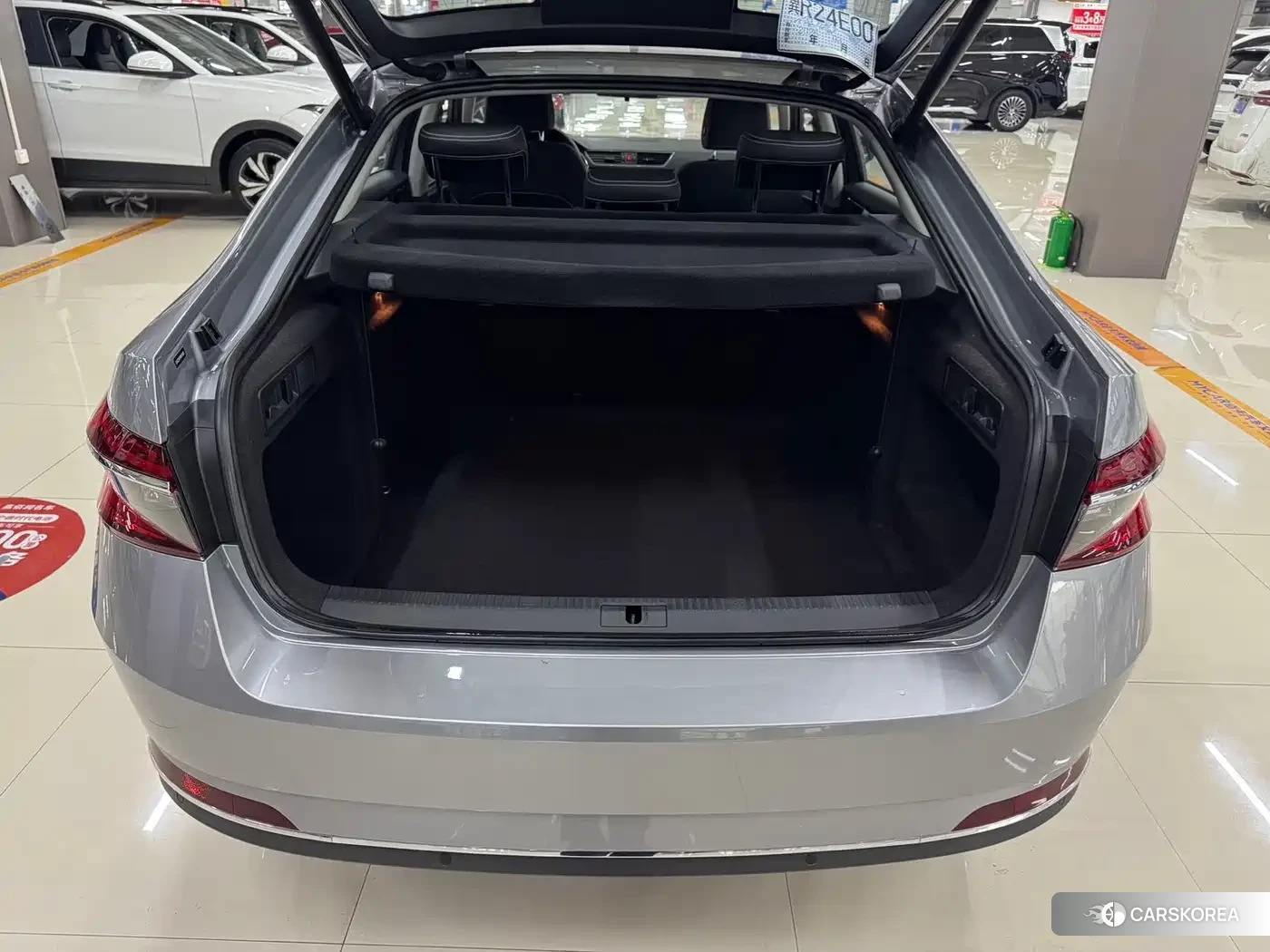 Skoda Speed pie id 4538747 из Китая 11