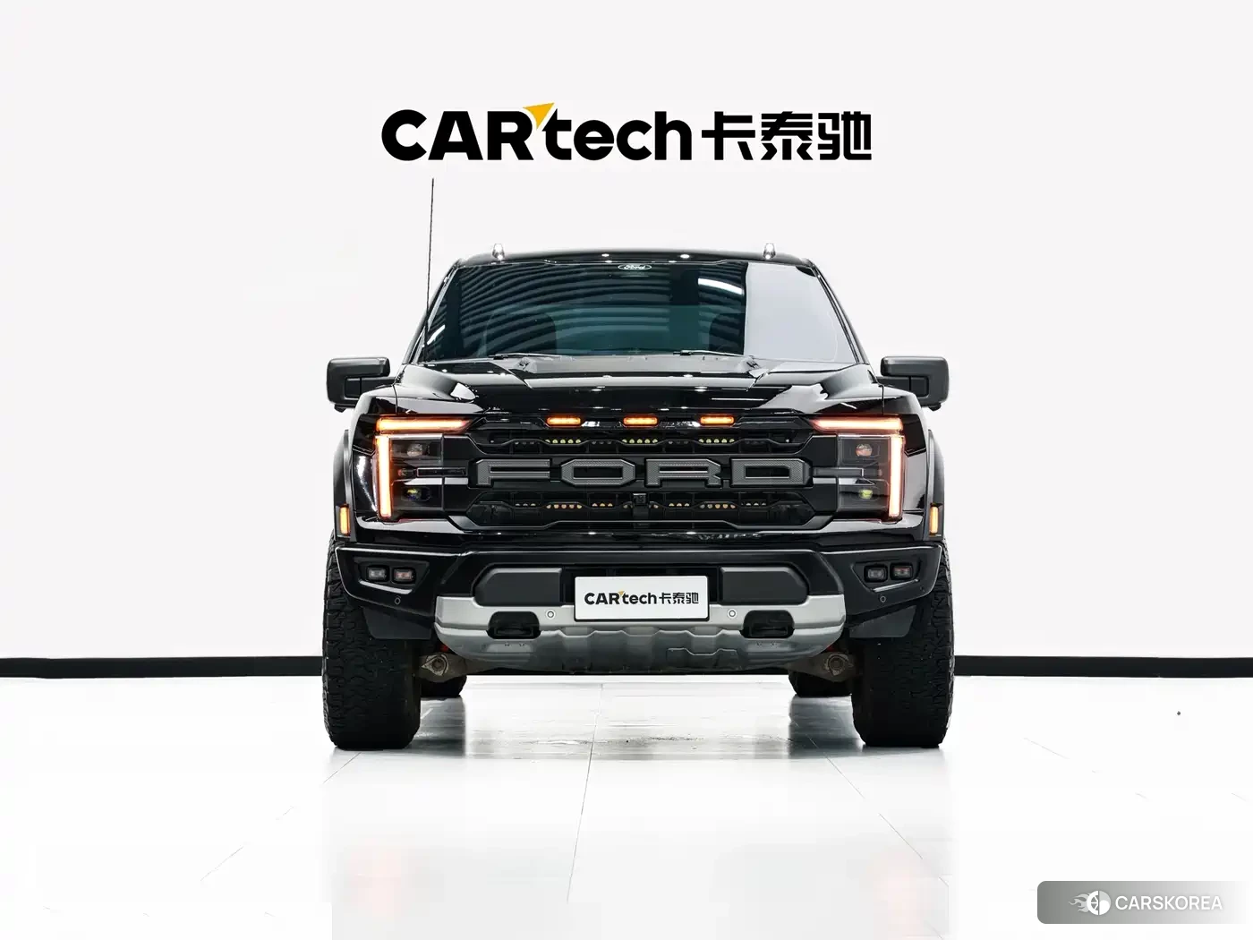 Ford F-150 Raptor id 4538915 из Китая 21