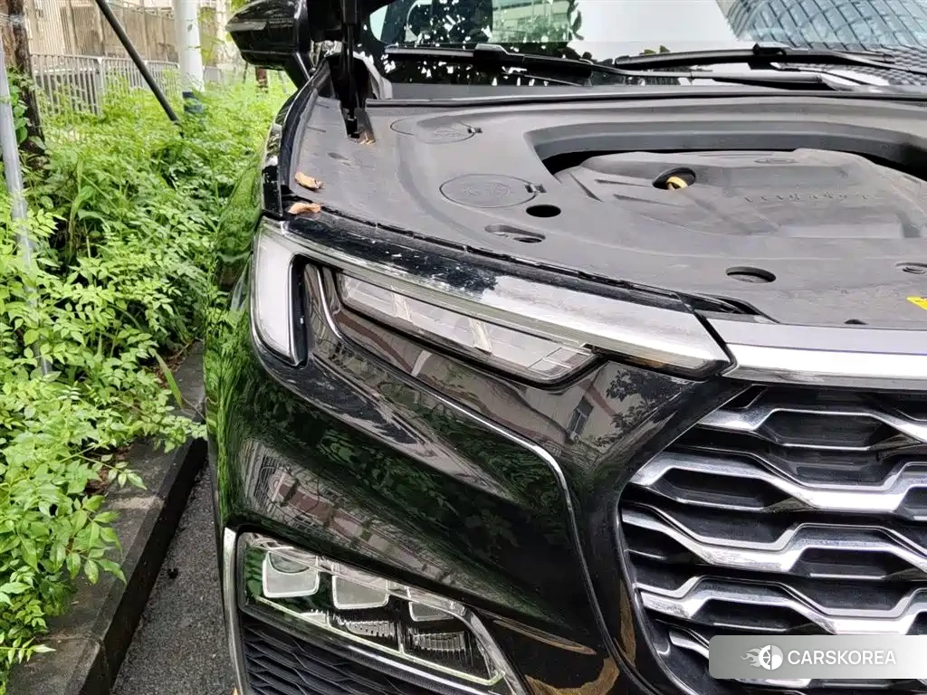 Ford Lingyu id 4514345 из Китая 19