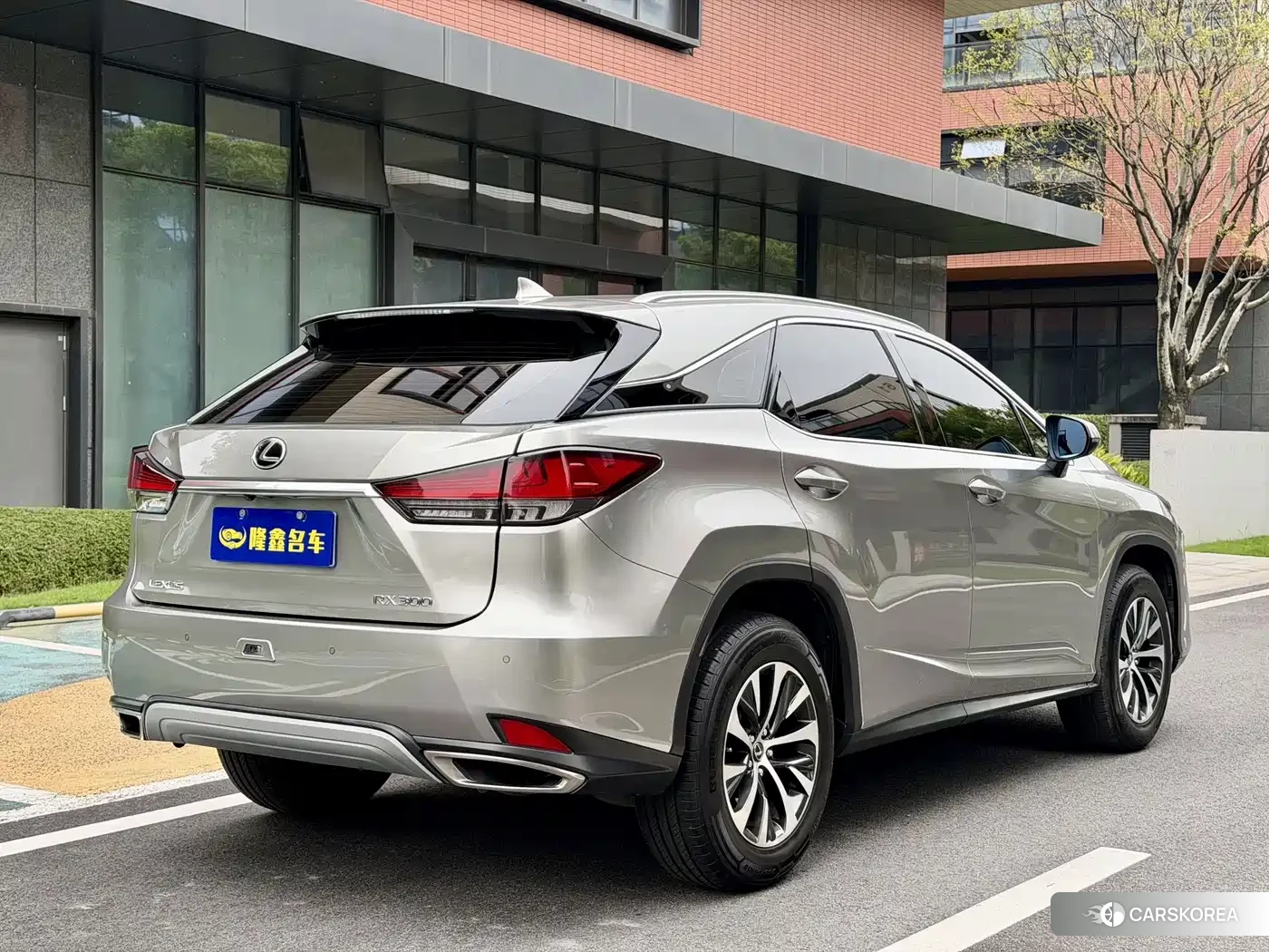 Lexus RX id 4622533 из Китая 24