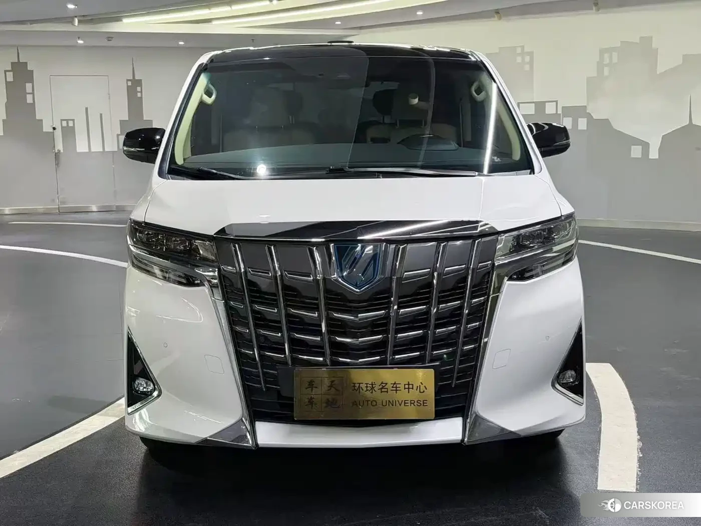 Toyota Elfa id 4655132 из Китая 20