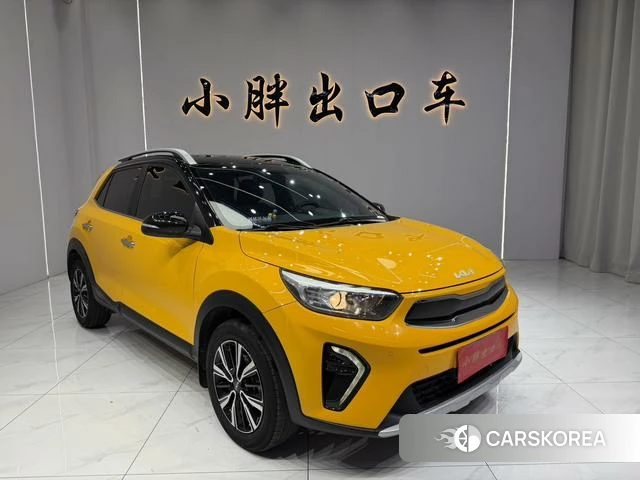 Kia Yi Ran id 4291417 из Китая 19