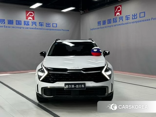 Kia Lion Platinum expands the world id 4209049 из Китая 21