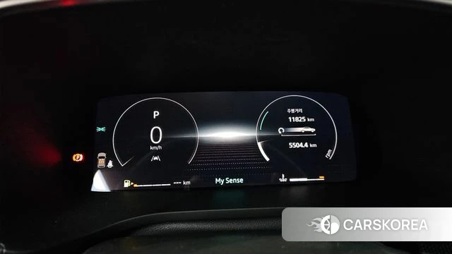 Renault Korea (Samsung) Arcana id 4523212 из Кореи 30