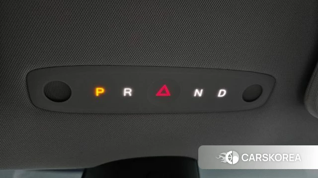 Tesla Model 3 id 4710325 из Кореи 31