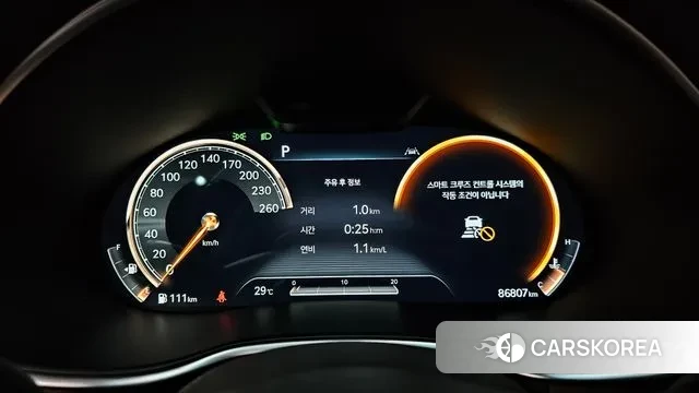 Genesis G80 (RG3) id 2990018 из Кореи 18