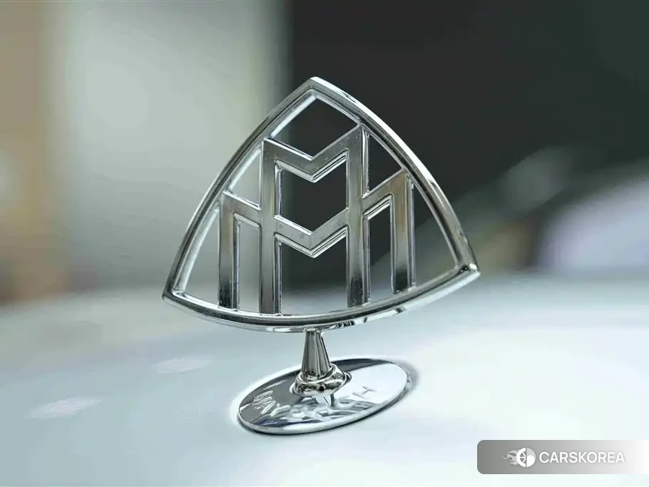Mercedes-Benz Maybach GLS id 4600508 из Китая 27