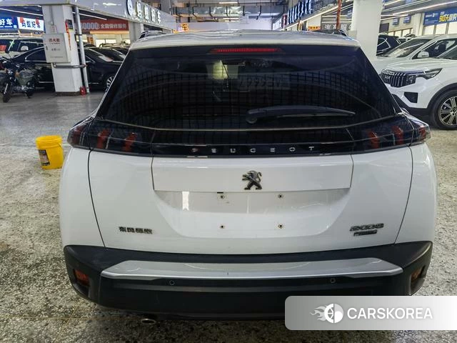Peugeot 2008 id 3939334 из Китая 9