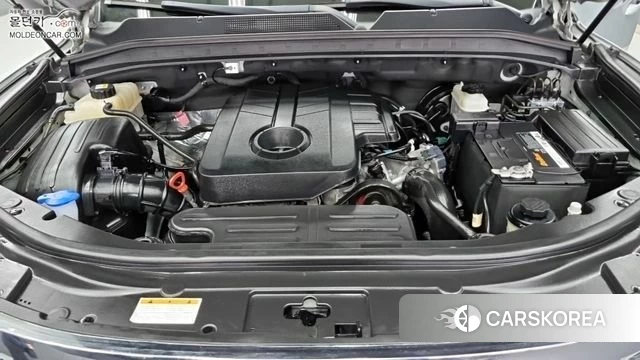Ssangyong Rexton Sports Cannes id 4434652 из Кореи 10