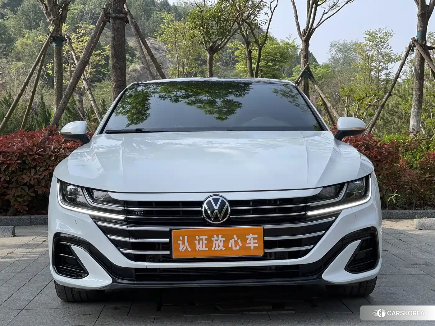 Kia FAW-Volkswagen CC id 4512947 из Китая 8
