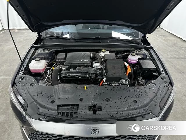 BYD Qin PLUS DM id 4216896 из Китая 18