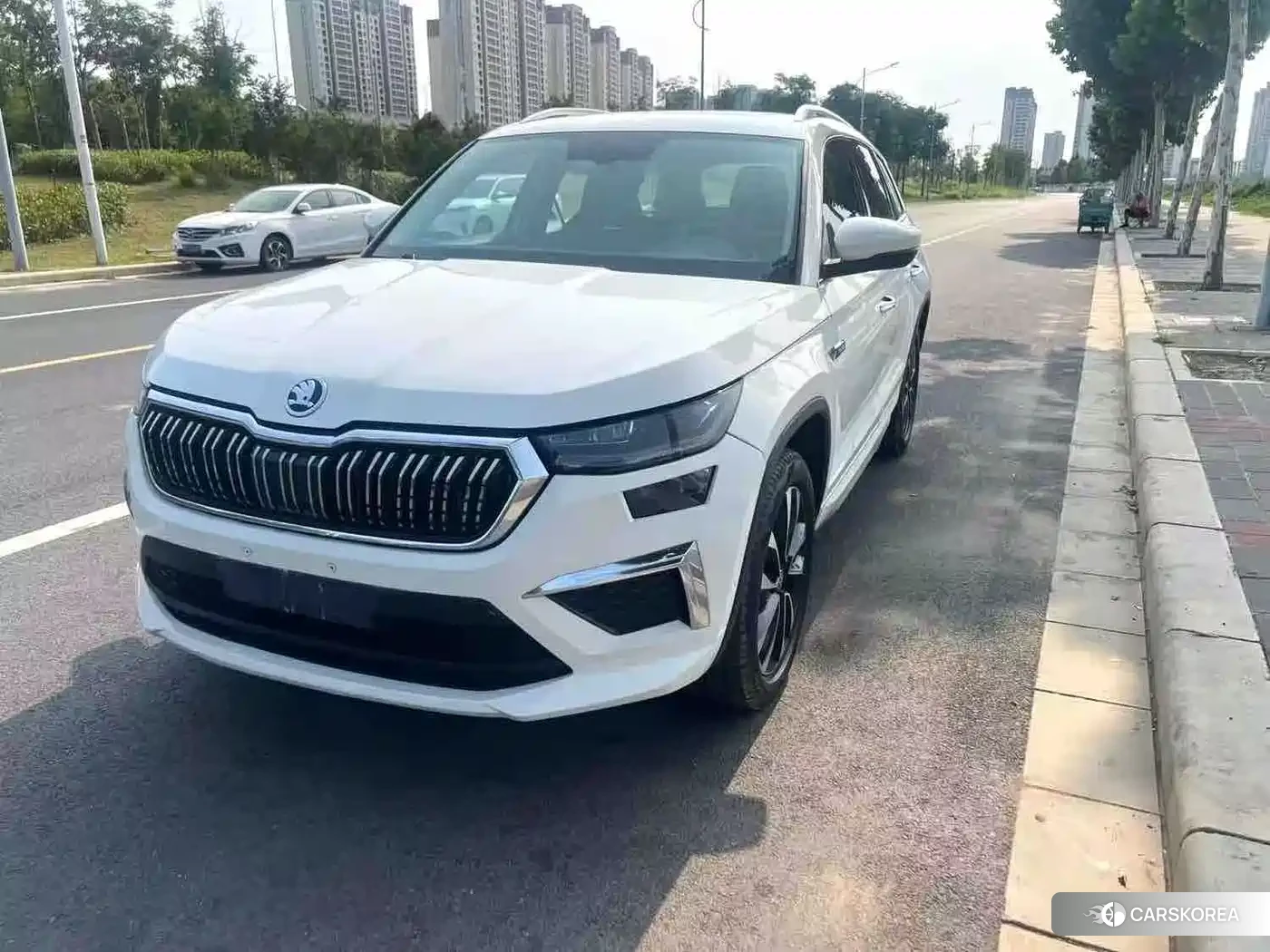 Skoda Kodiak id 4546412 из Китая 8