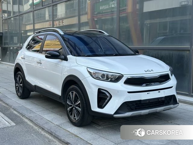 Kia Yi Ran id 4276216 из Китая 13