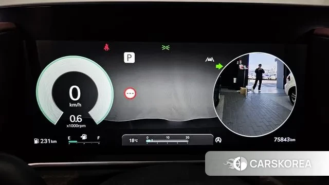 Genesis G90 (RS4) id 3508120 из Кореи 18