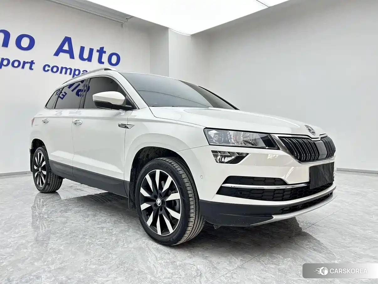 Skoda Karoq id 4583808 из Китая 18