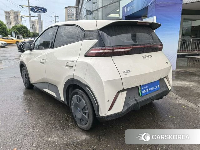 BYD Seagull id 4213284 из Китая 17