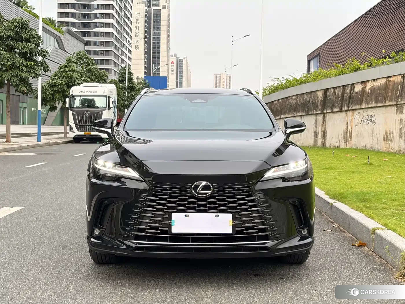Lexus RX id 4601787 из Китая 18