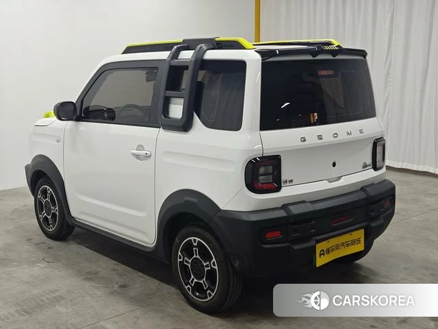 Geely Galaxy panda id 4211901 из Китая 18