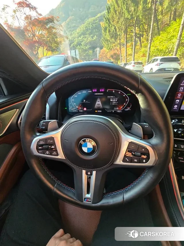 BMW 8 Series (G15) id 3359718 из Кореи 8