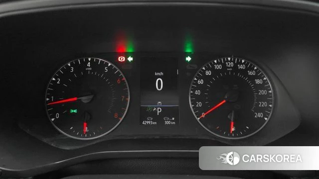 Renault Korea (Samsung) XM3 id 3923567 из Кореи 18