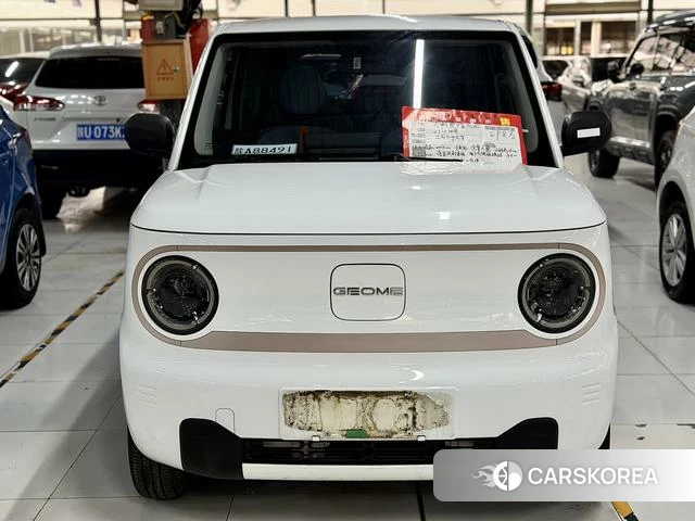Geely Galaxy panda id 3993481 из Китая 9