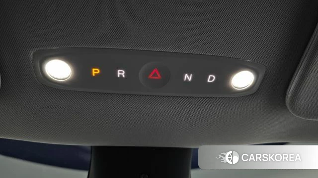 Tesla Model Y id 4441796 из Кореи 30