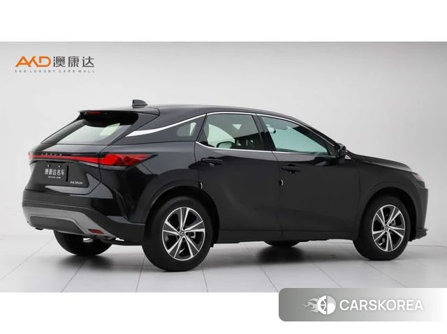 Lexus RX id 4239949 из Китая 8