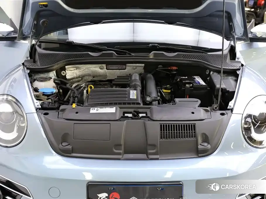 Volkswagen Beetle id 4559661 из Китая 21