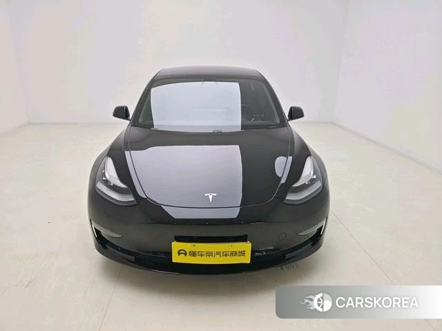 Tesla Model 3 (imported) id 4215022 из Китая 18