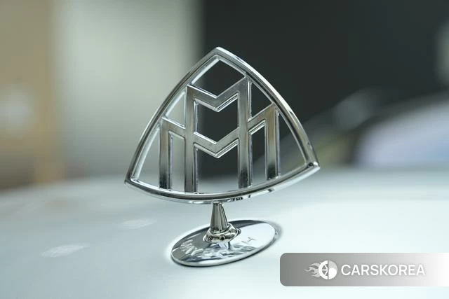 Mercedes-Benz Maybach GLS id 4260865 из Китая 27
