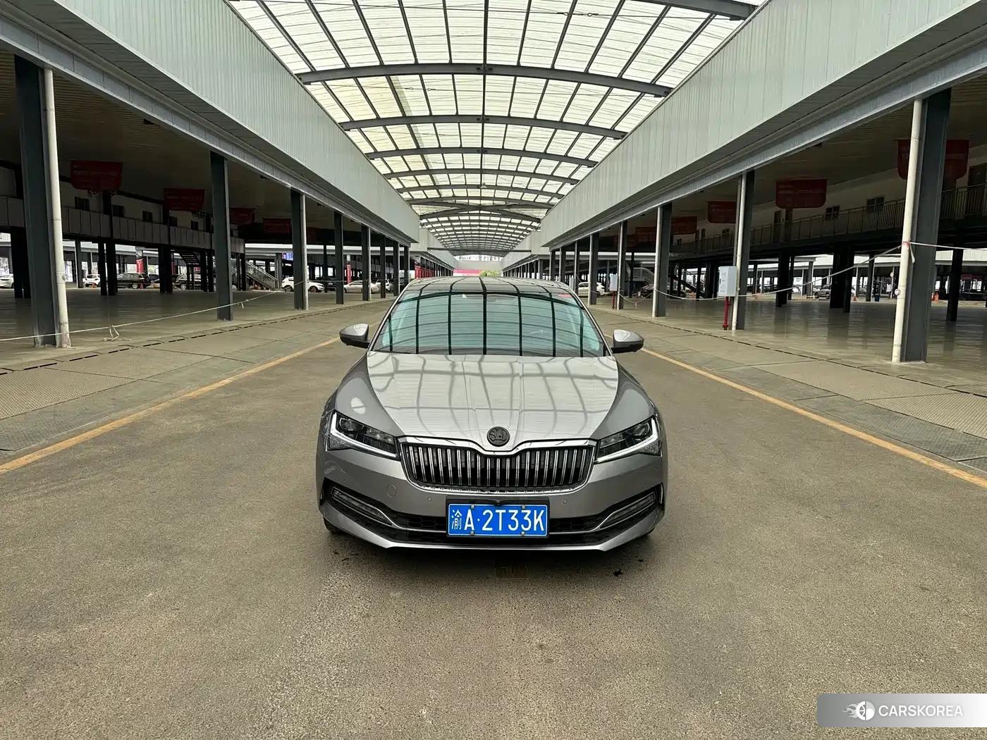 Skoda Speed pie id 4570619 из Китая 13