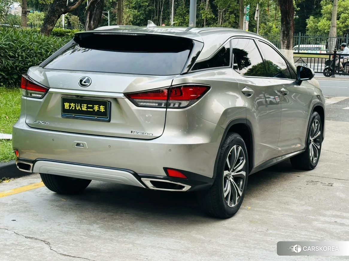Lexus RX id 4512878 из Китая 19