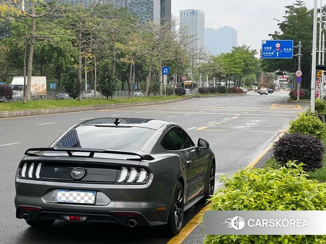 Ford Mustang id 4392328 из Китая 15