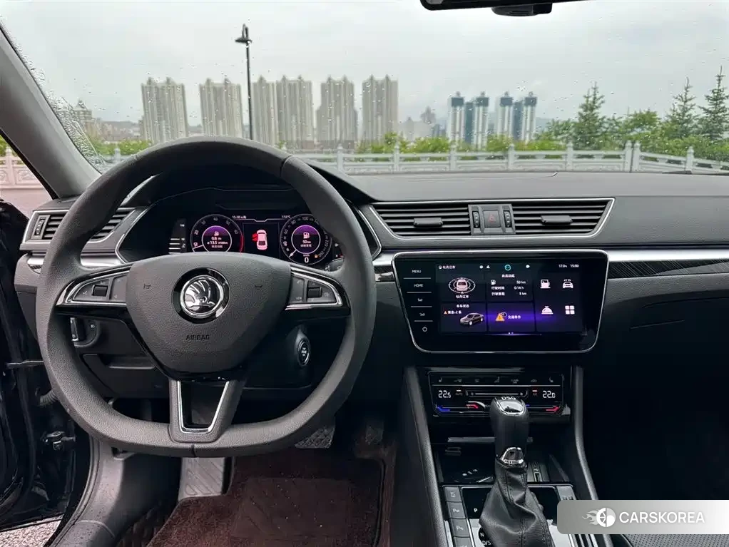 Skoda Speed pie id 4546418 из Китая 20