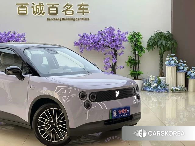 firefly firefly Unknown id 4198925 из Китая 18