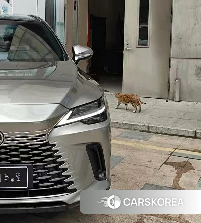 Lexus RX PHEV id 4298253 из Китая 10