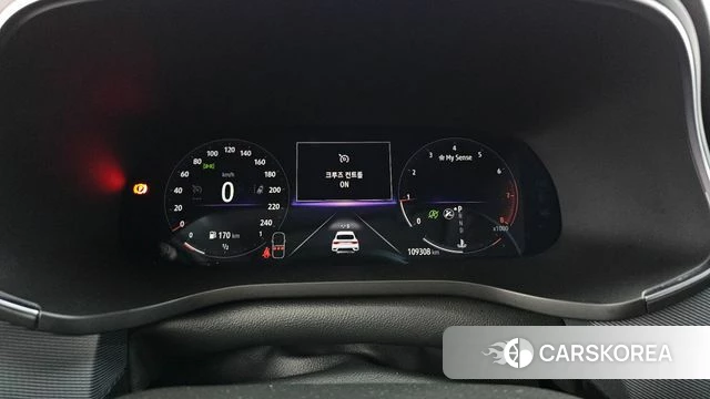 Renault Korea (Samsung) XM3 id 4389694 из Кореи 18