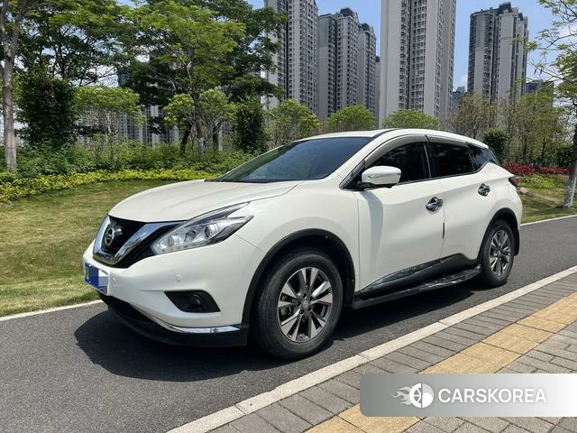 Nissan Loulan id 4300017 из Китая 9