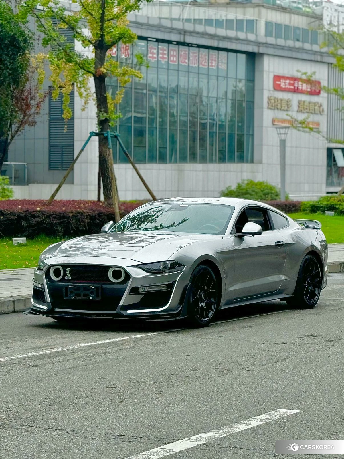 Ford Mustang id 4420867 из Китая 8