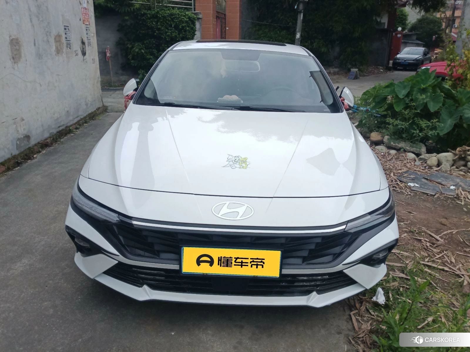 Hyundai Elantra id 4407508 из Китая 8