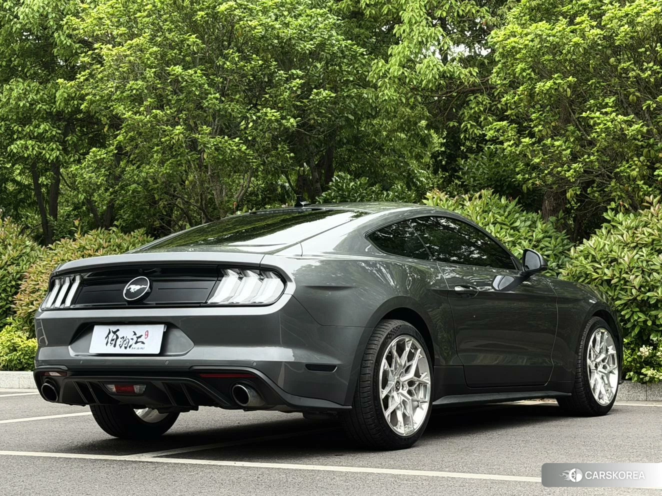 Ford Mustang id 4419140 из Китая 12